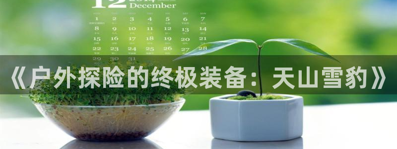 新宝gg怎么做代理