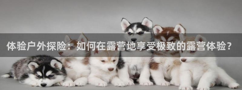 新宝奇迹GG