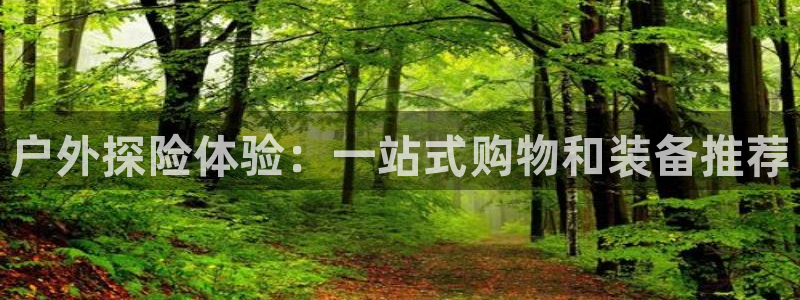 新宝gg画