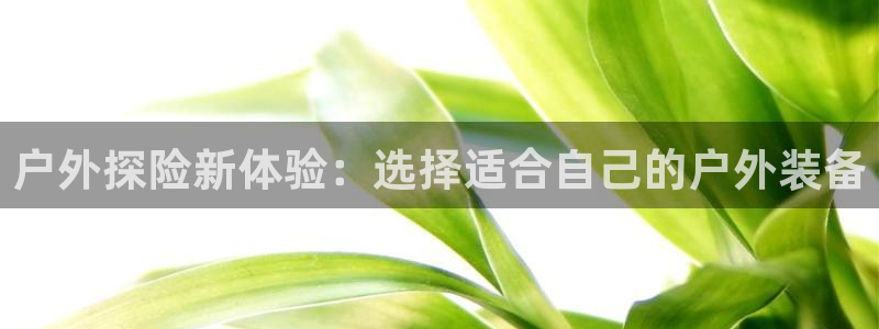 新宝gg如何