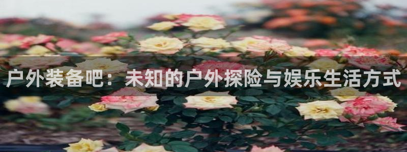 新宝集团gg