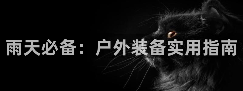 新宝gg挂机app