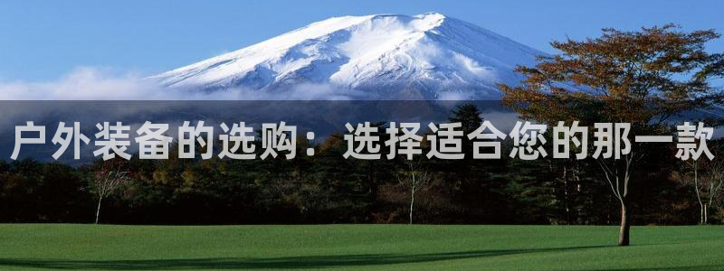 新宝gg登