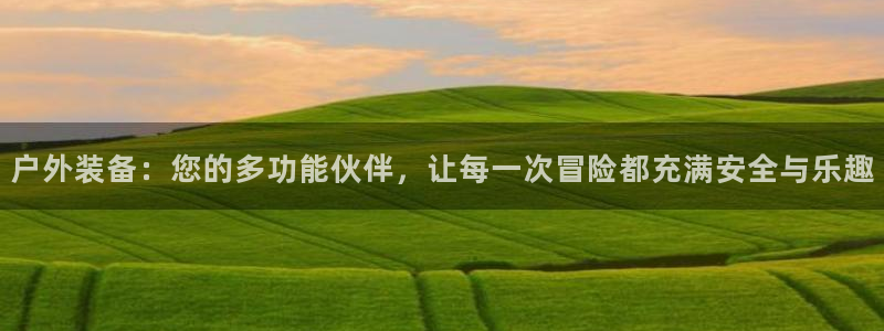 收新宝gg