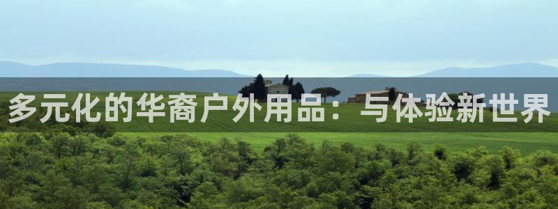 新宝gg玩