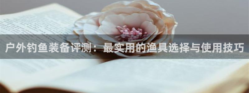 新宝gg是什么