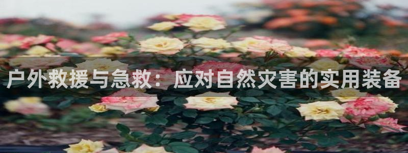 新宝gg总部