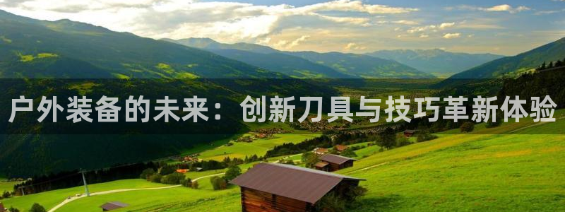 新宝gg试玩