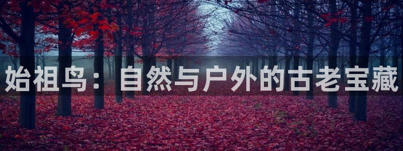 新宝gg体彩