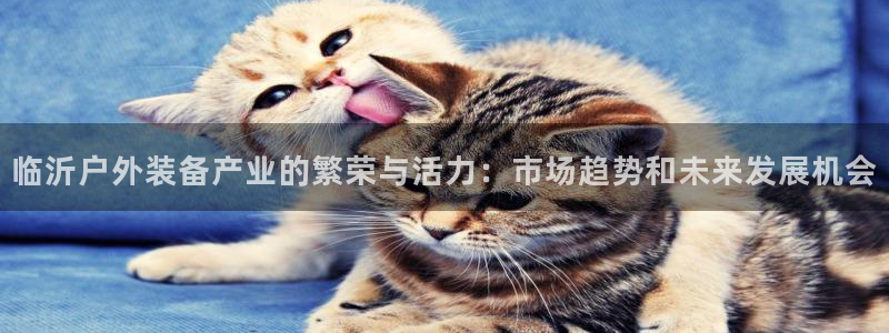 新宝gg运营88383