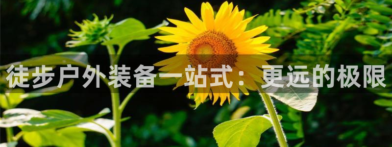 新宝gg运营88383