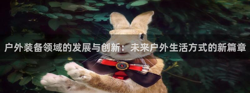 新宝GG电话