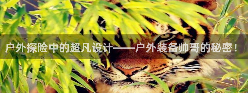 新宝gg时时彩