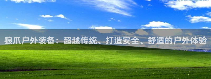 新宝gg辅助
