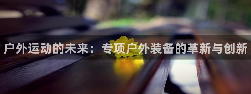 新宝gg属于