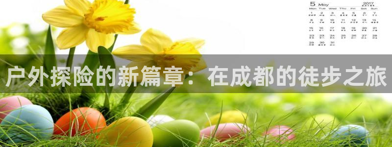新宝gg如何代理