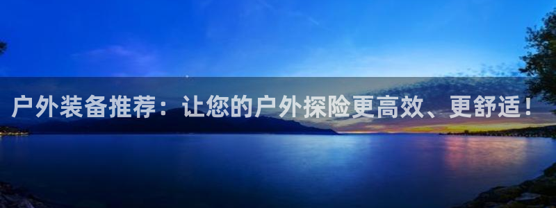新宝gg样