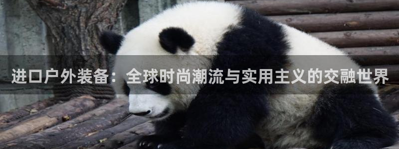 新宝gg 平台怎么样