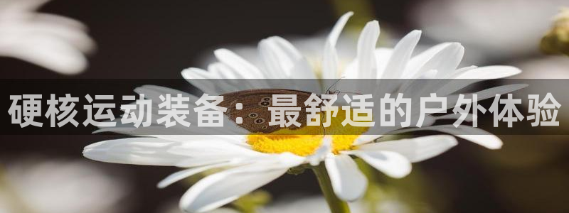 新宝gg传奇