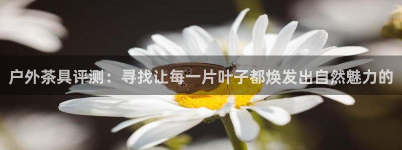 新宝gg客户端下载