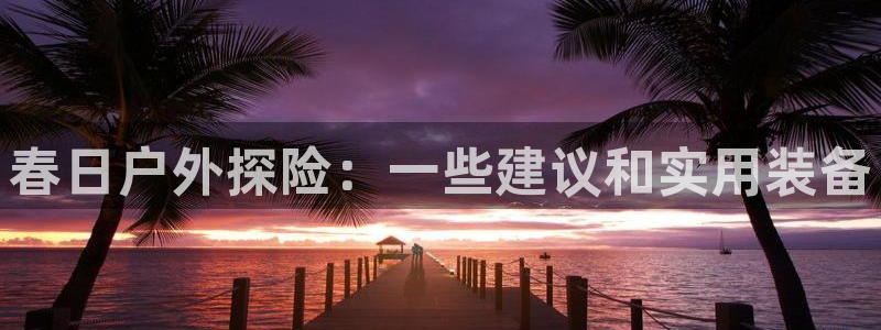新宝gg平