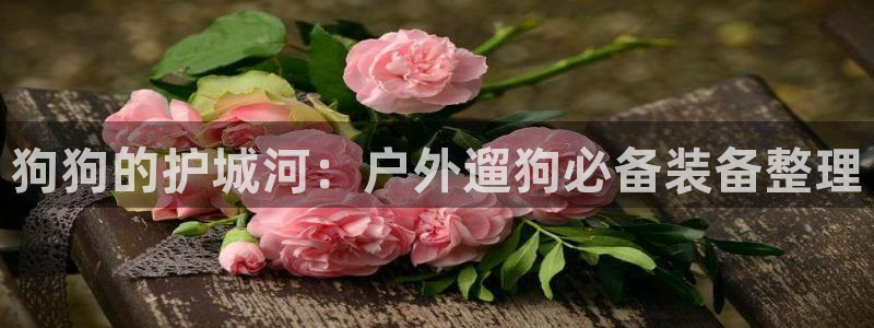 新宝gg开户流程