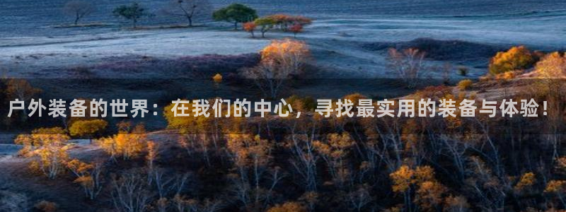 新宝GG管理