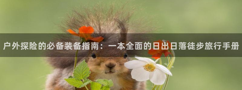 怎么代理新宝gg