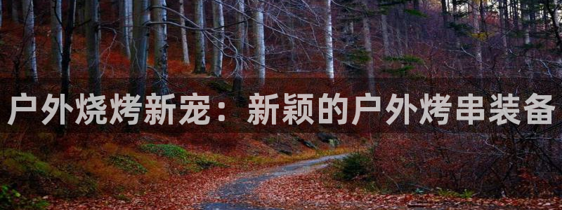 新宝gg套路