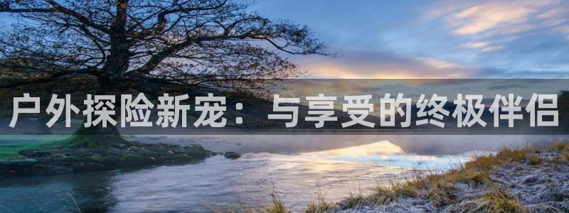 新宝gg待遇