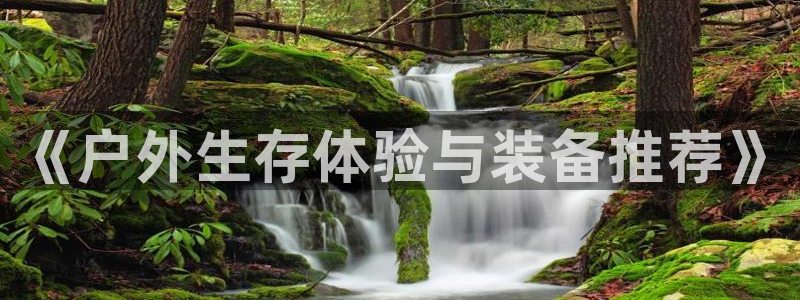 新宝gg重庆