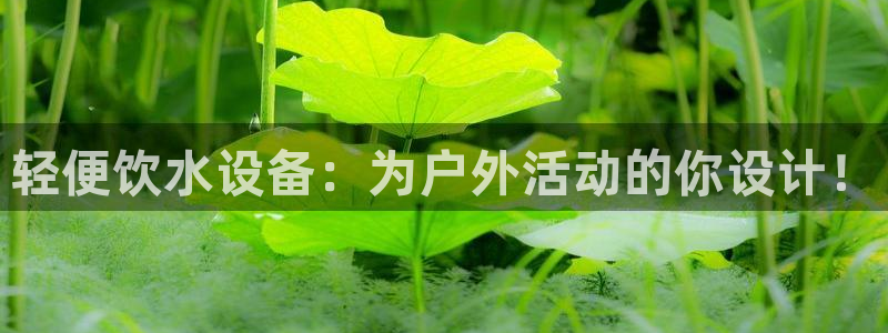 收新宝gg