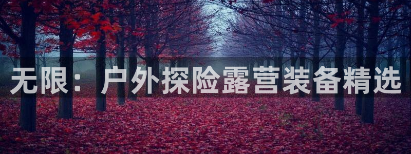 新宝给gg