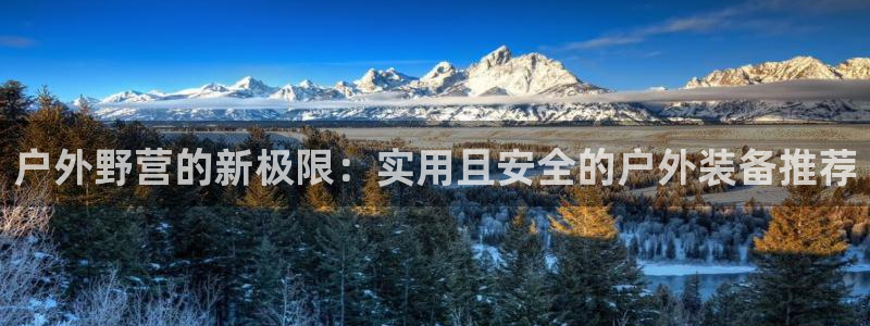 新宝GG无法充值