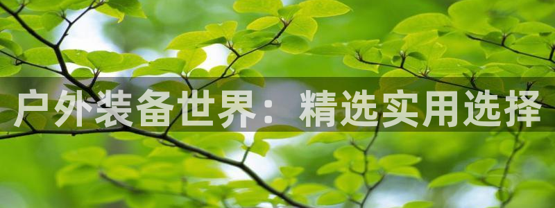 新宝gg创造奇迹下载