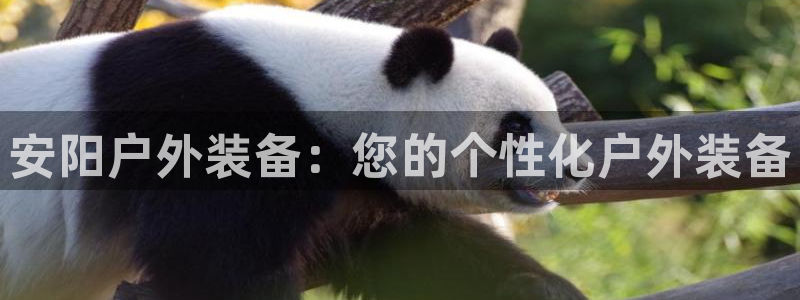 新宝GG最高返点多少