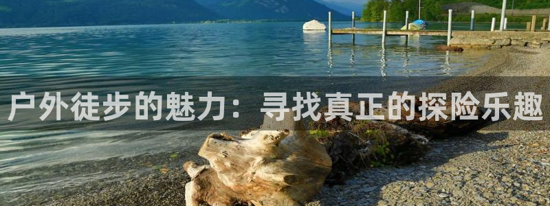 新宝gg dengludizhi