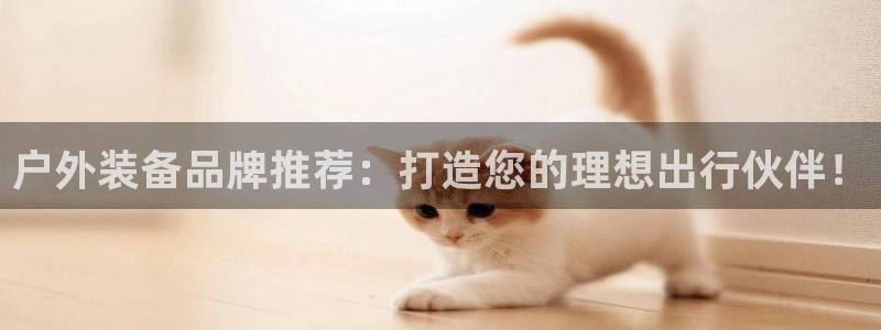 新宝GG专业团队