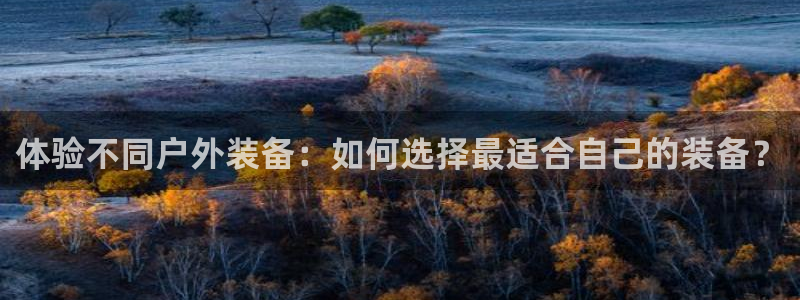 新宝gg挂机软件下载