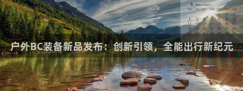 新宝GG最高返点多少