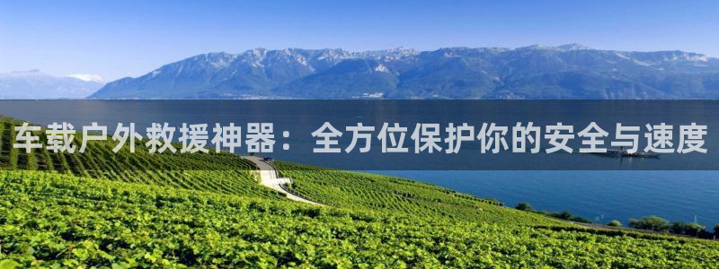 新宝gg挂机软件下载