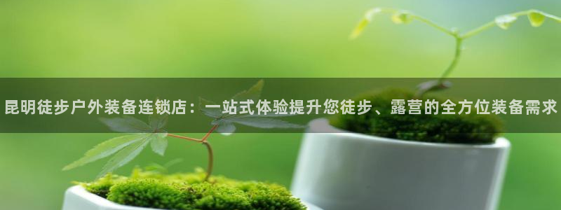 怎么代理新宝gg