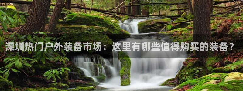 新宝gg手机助手